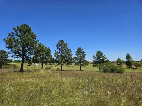 Terreno - El golf