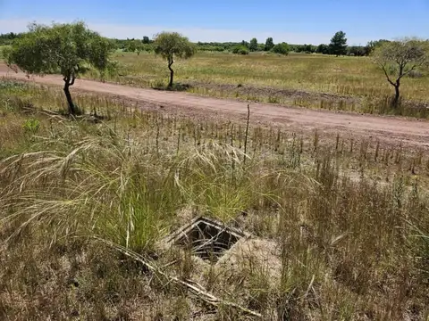 Terreno en Venta en Carmelo, USD 36.000