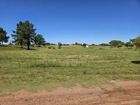 Terreno en Venta en Carmelo, USD 36.000