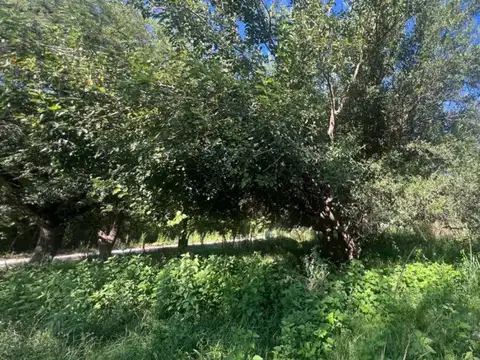 VENTA LOTE VILLA DEL TOTORAL