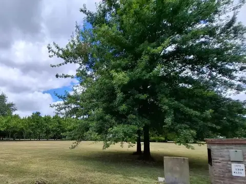 Terreno en Venta 27  mts Frente