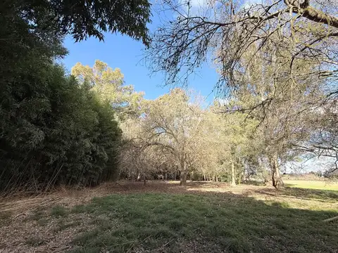 Casa en Venta 40 años