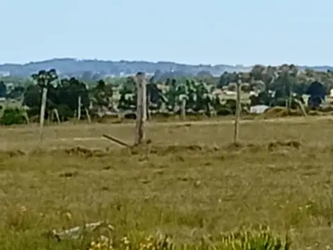 Camino Nacional