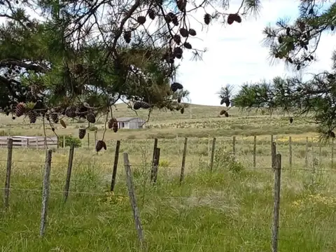 Hermosa chacra en venta en San Carlos, Uruguay