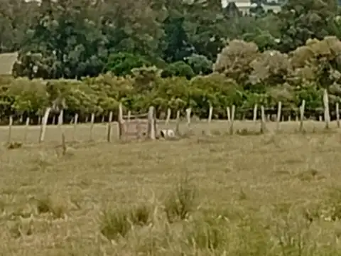 Hermosa chacra en venta en San Carlos, Uruguay