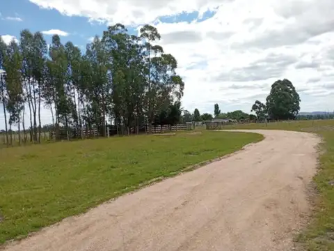 Camino Nacional