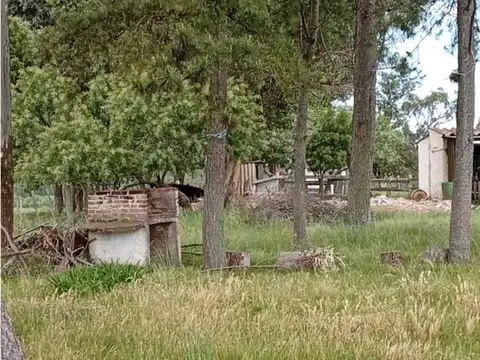 Camino Nacional