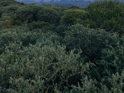VENTA LOTE CON ESCRITURA EN SAN HUBERTO NONO
