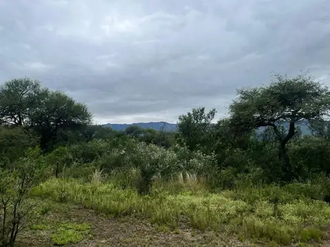 San Huberto