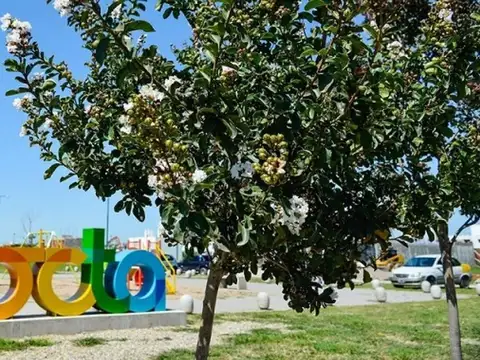 VENTA LOTE 360M2 APTO DUPLEX DOCTA BOULEVARD