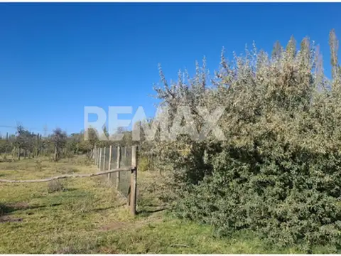 calle sin nombre 100