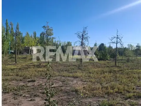 Terreno en Venta en Cinco Saltos, USD 5.000