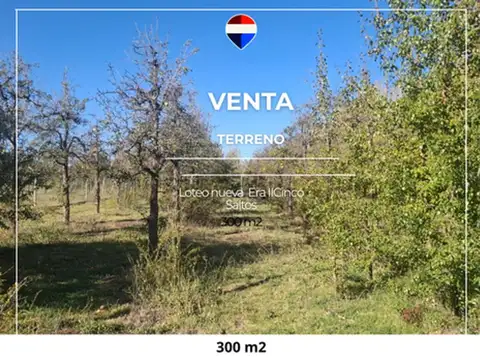 TERRENO NUEVA ERA  CINCO SALTOS