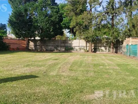 San Salvador 300