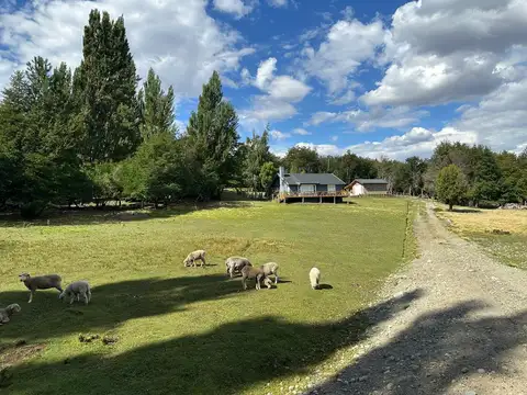 Chacra Los Manantiales, Ejido de Epuyen, 35 has. CHUBUT, Patagonia Argentina.