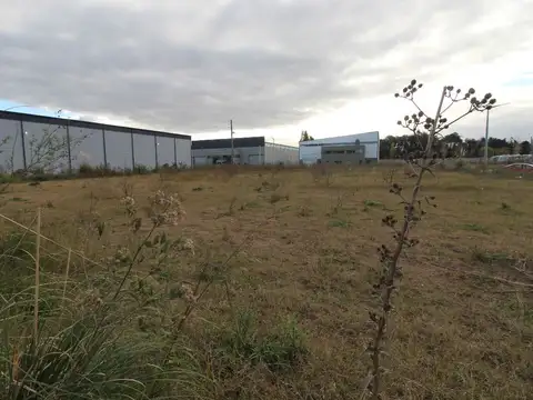 PARQUE INDUSTRIAL MORENO 100