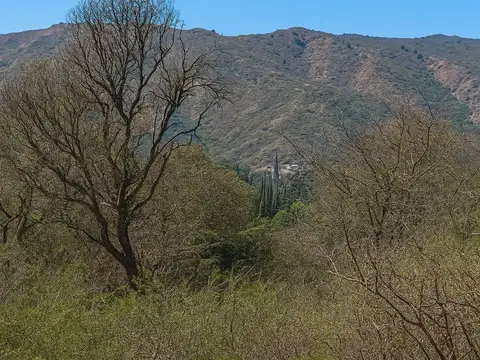 Terreno en Venta de 5036,0 m2