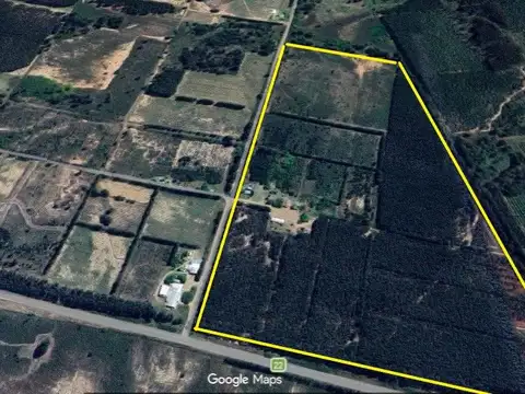 Campo en Yuqueri