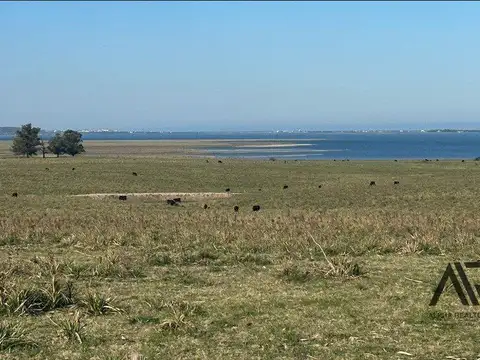Chacra de 26 ha Laguna de José Ignacio, Maldonado/uruguay.