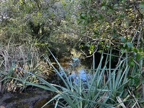 Chacra de 26 ha Laguna de José Ignacio, Maldonado/uruguay.