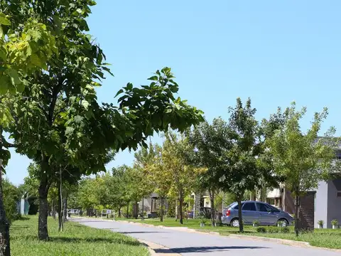 Terreno en Venta en Barrancas de Iraola, USD 100.000