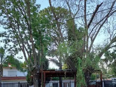 martin fierro 677 100