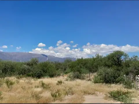 Venta campo 119 hectáreas San Luis