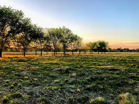 Preventa, nuevo barrio privado, Del Viso