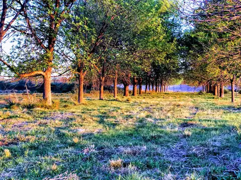 Terreno en Venta de 625,0 m2