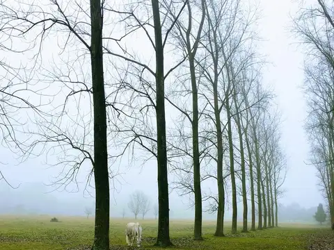 Terreno en Venta en Del Viso, USD 53.227