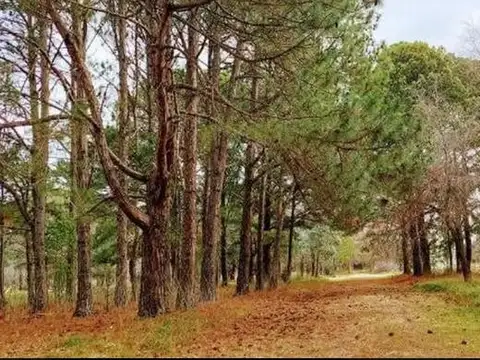 Terreno en Venta en Exaltacion De La Cruz, USD 26.000