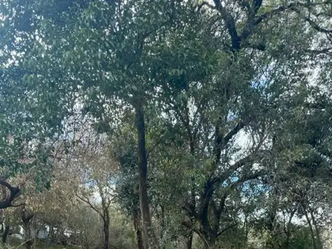 Terreno en Venta en Salsipuedes, USD 18.000