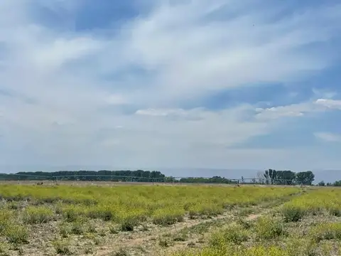 Campo agrícola ganadero Tilisarao San Luis
