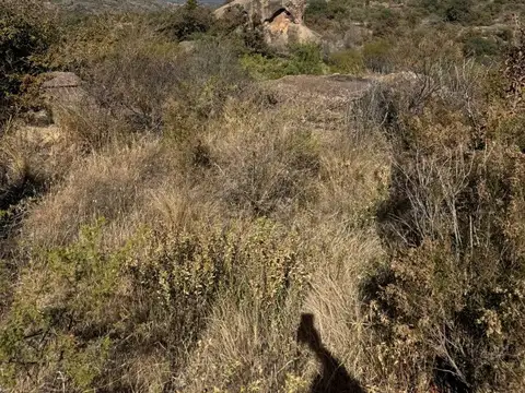 CAMPO DE 17 HAS CON ARROYO NONO VENDE