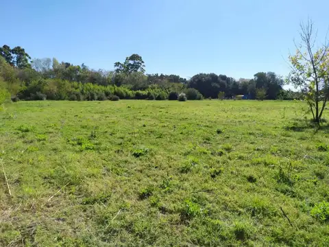 Lote 150m x 195m. Total 28900m2. Zonificación CR1. Posibilid