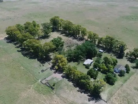 Olavarria - Villa Fortabat - 168 has. Yacimiento piedra caliza