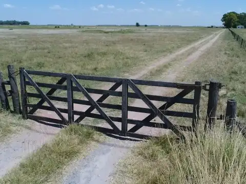 Olavarria - Villa Fortabat - 168 has. Yacimiento piedra caliza