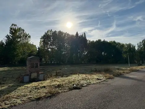 Terreno en Venta de 1032,0 m2