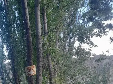 Terreno en Venta de 6500,0 m2