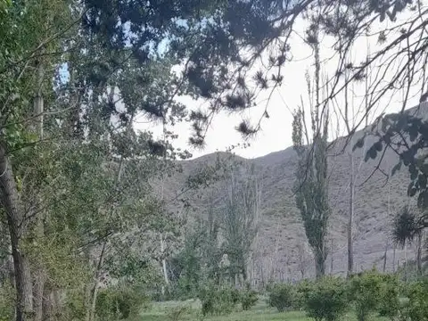 Ruta Provincial 89 - Potrerillos