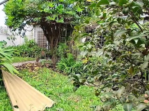 Salvador Debenedetti al 2900