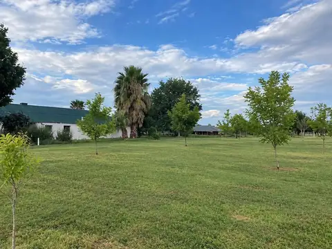 Campo en Venta de 600  ha