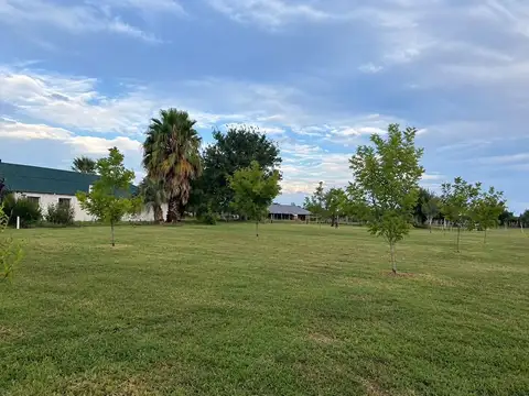Campo en Venta de 600  ha