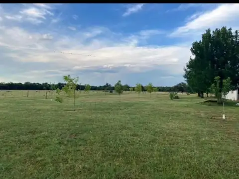 Campo en Venta de 600  ha