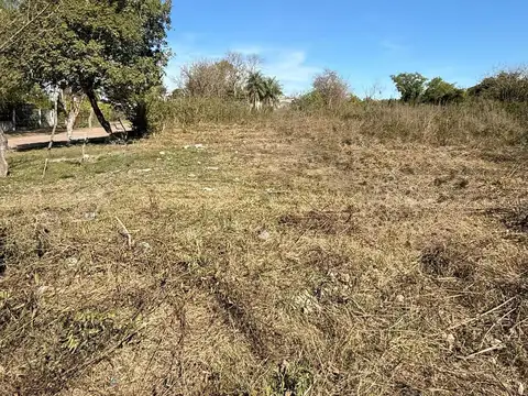 Reconquista 500