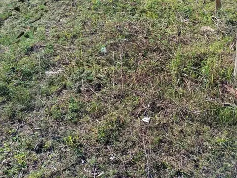Terreno en Venta en Goya, USD 16.500