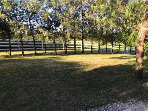 Campo en Venta Agrícola