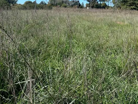 Ruta provincial N°46