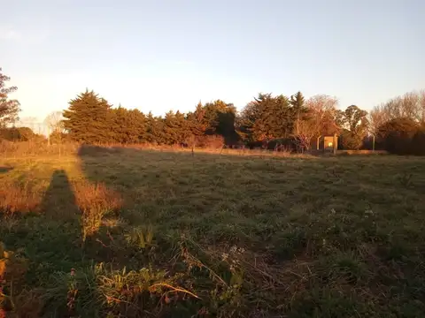 Ruta provincial N°46