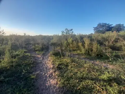 PARAJE LOMAS 200, Piso 0